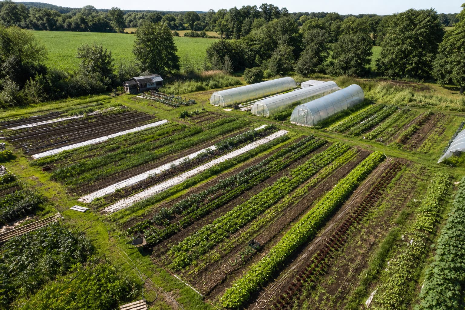 Bio-intensiver Marktgarten von oben